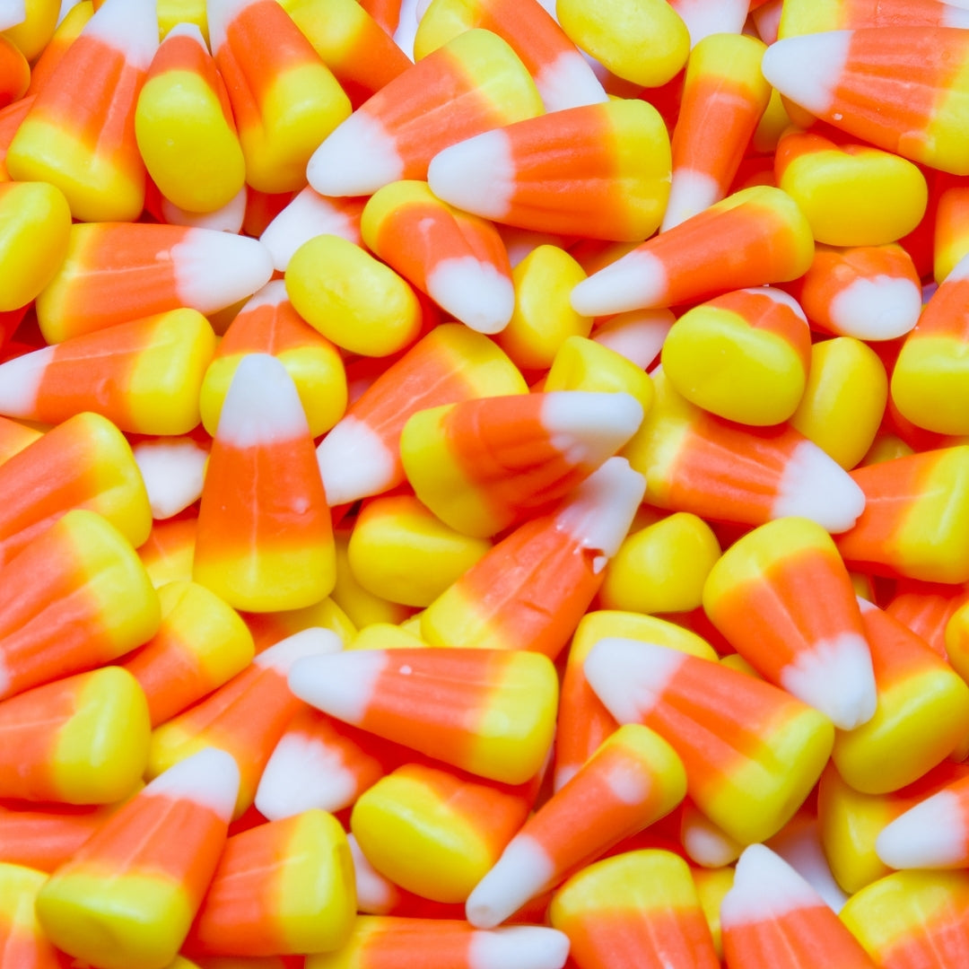Sweet Treat Scented Bodi Products