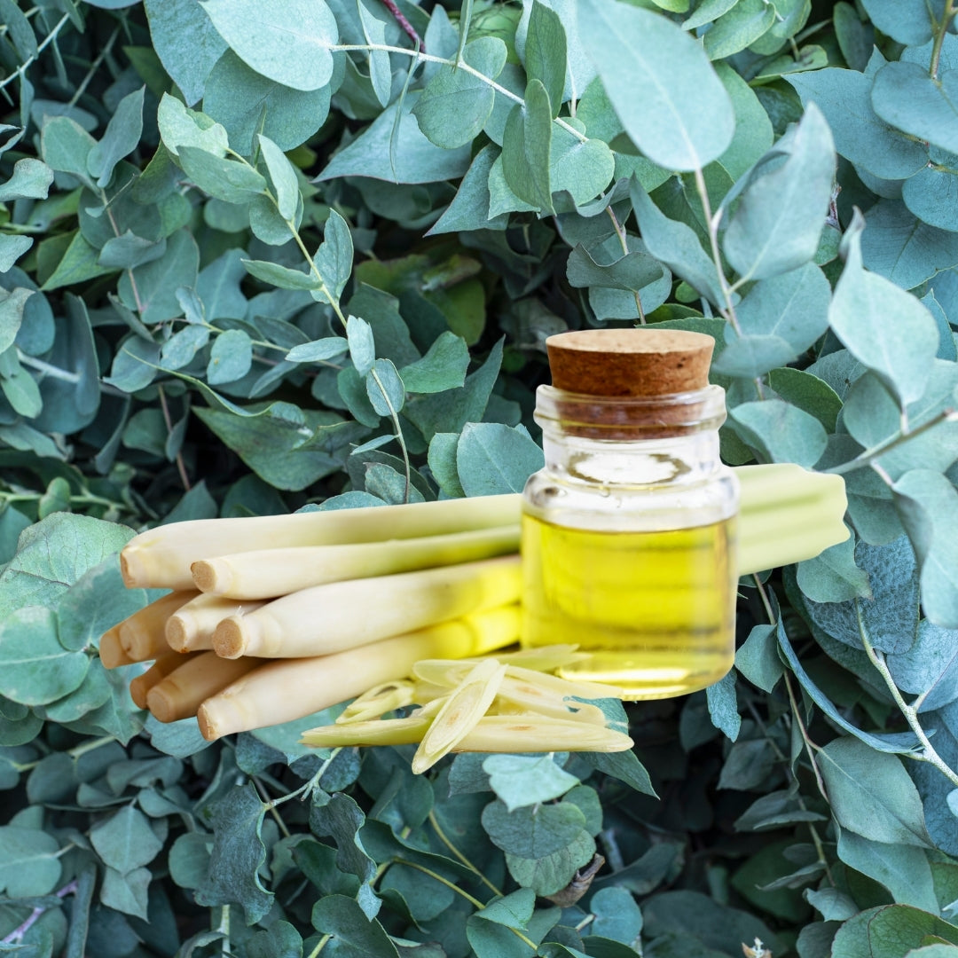 Herbal Scented Bodi Products