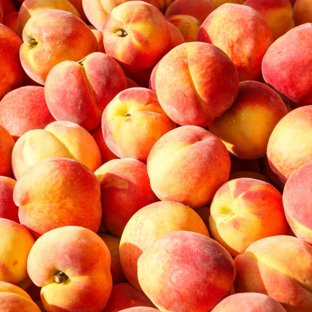 Fruity Scented Bodi Products