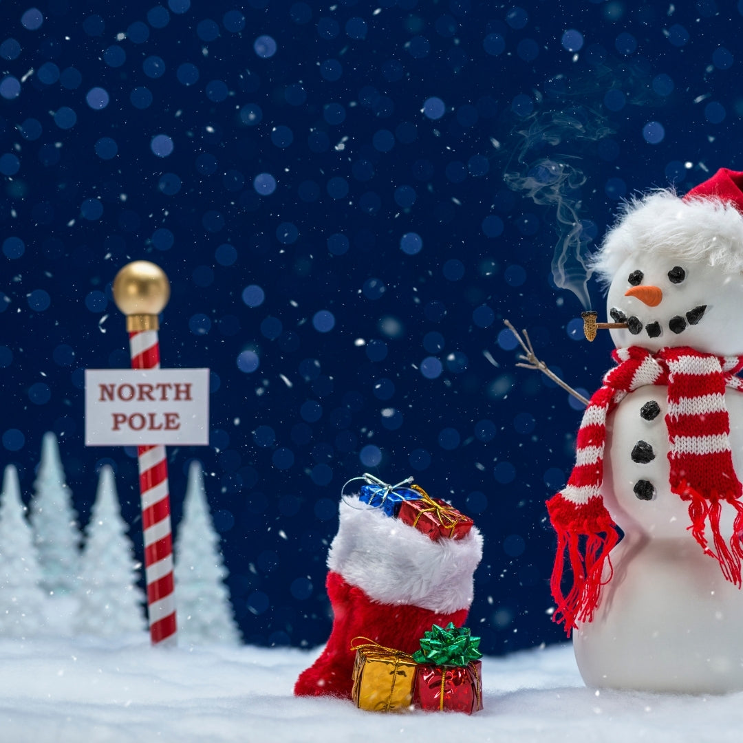 Holiday Scented Bodi Products