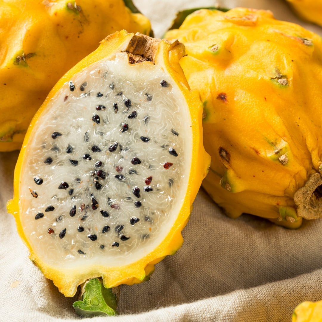 Fruity Scented Bodi Products