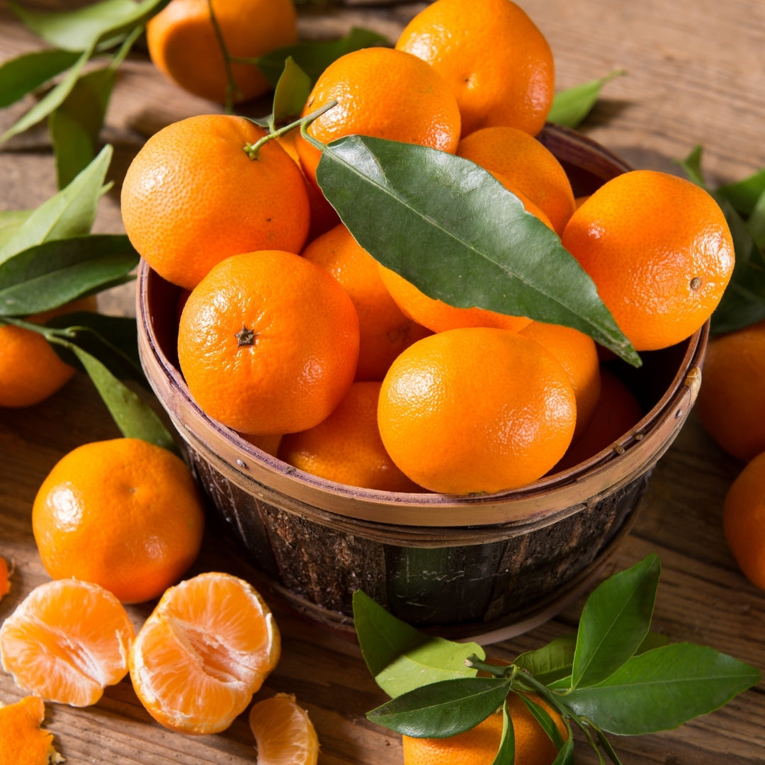 Fruity Scented Bodi Products